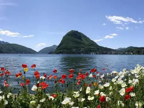 Prestige du Lac 34