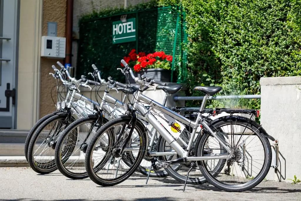 Hotel Jardin