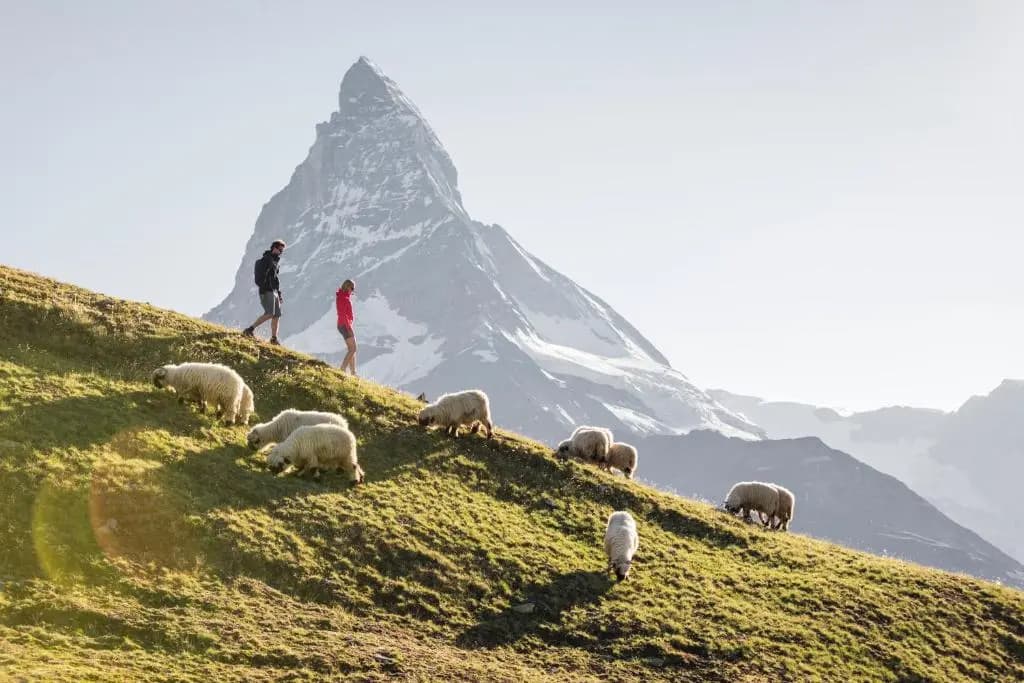 Chalet Zermatt Peak