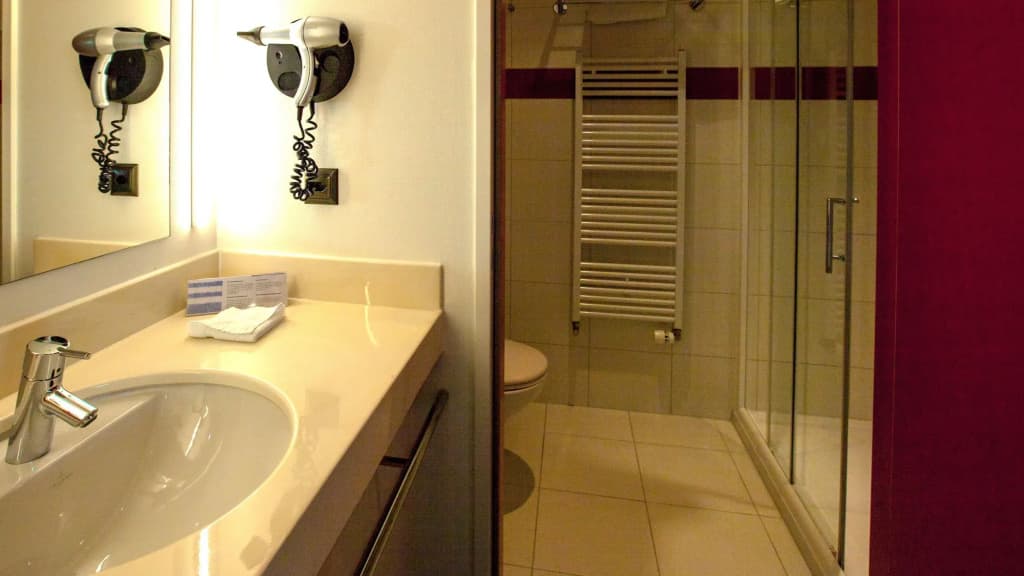 Airport Hotel Basel