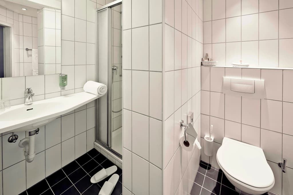 Sorell Hotel Arabelle Bern