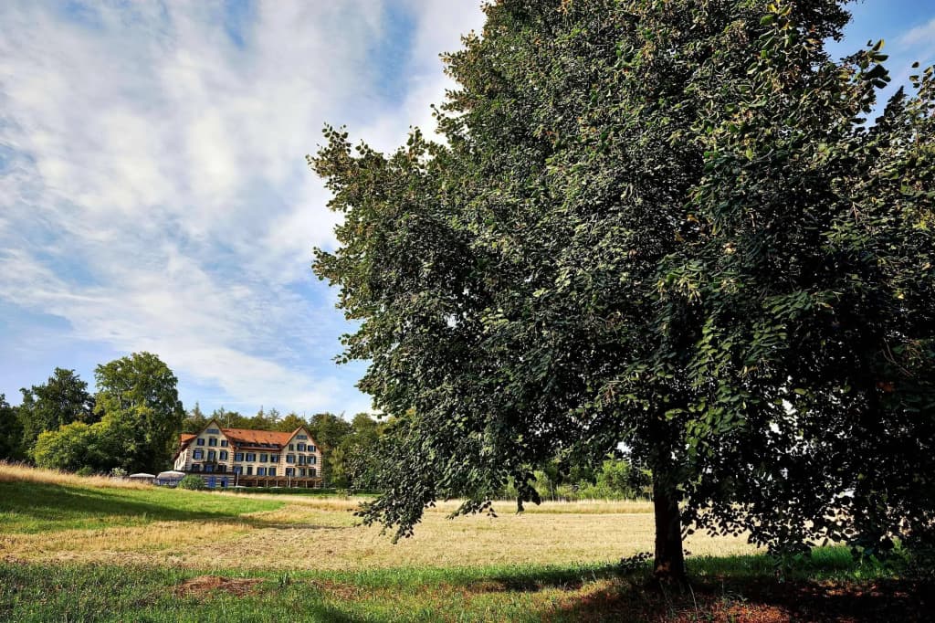 Sorell Boutique-Hotel Zürichberg